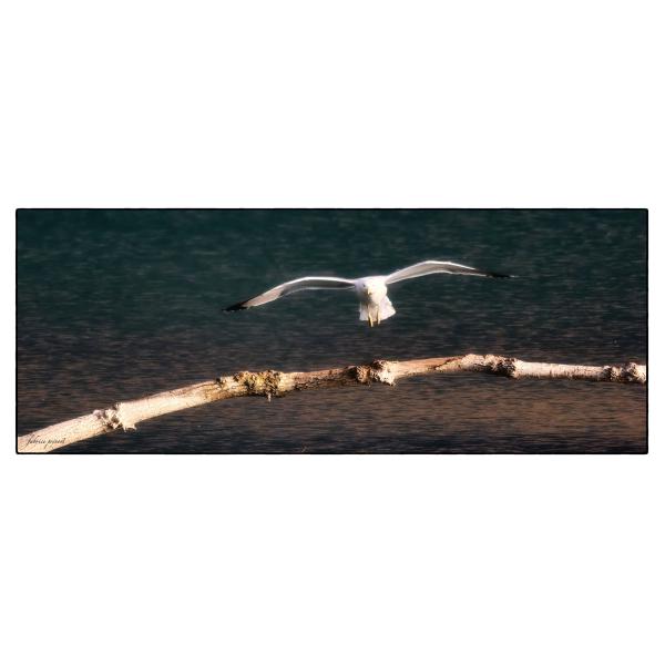 PHOTO84, CLUB, 84 , LUBERON